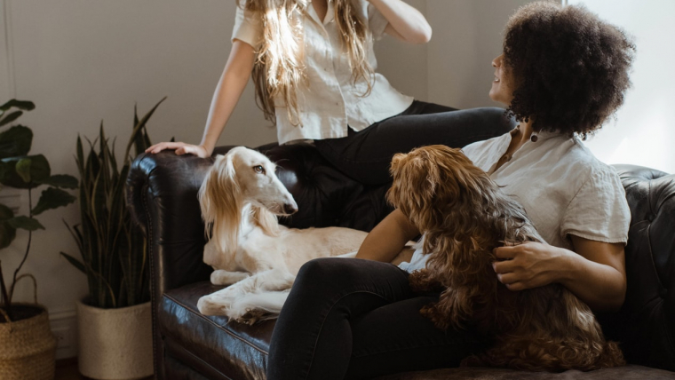 Transform Your Home / Buying Real Estate Abroad / Rent Guarantee